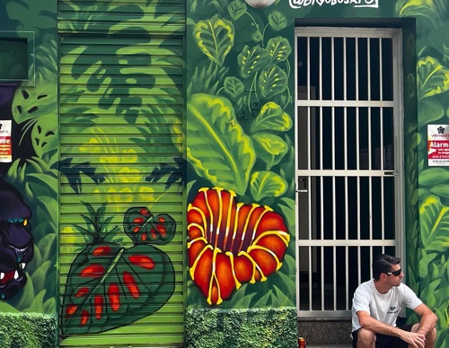 Gallery Of Street Art By Bigod O Sapo - Brazil