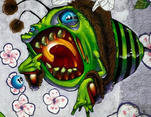 Gallery Of Street Art By Bigod O Sapo - Brazil