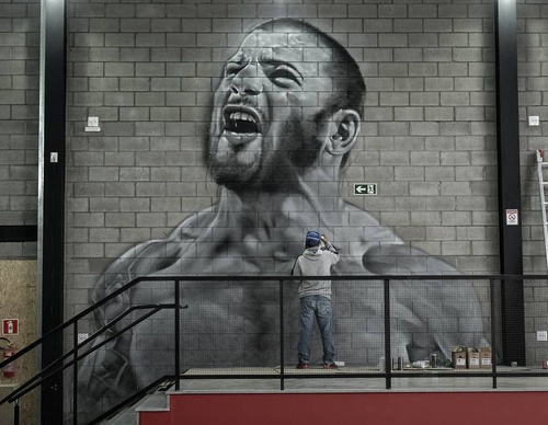 Gallery Of Street Art By Zion - Brazil