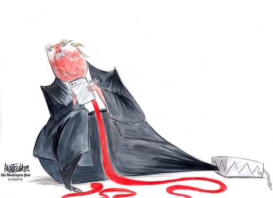 Ann Telnaes