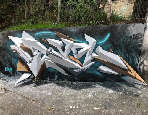 Gallery Of Street Art By Denys Evol - Brazil
