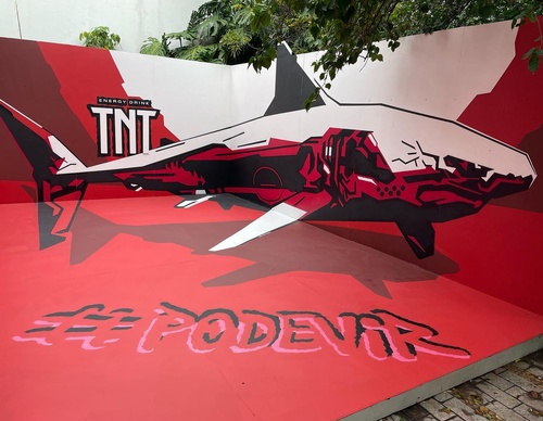 Gallery Of Street Art By Denys Evol - Brazil