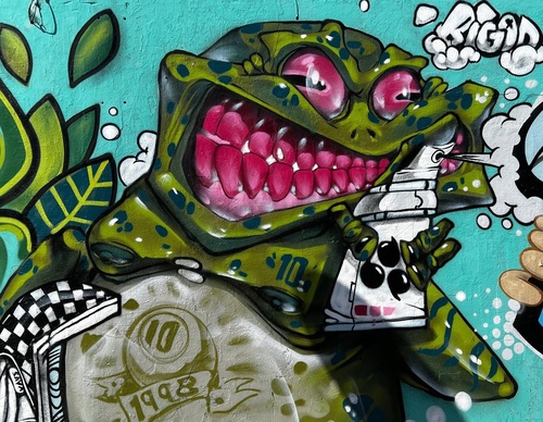 Gallery Of Street Art By Bigod O Sapo - Brazil