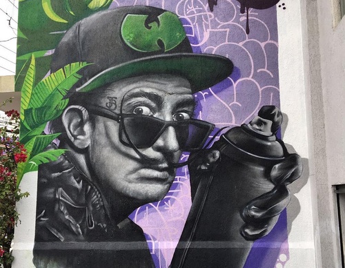 Gallery Of Street Art By Snek - Brazil