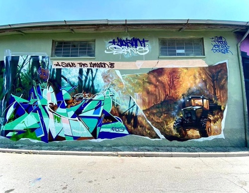 Gallery Of Street Art By Zion - Brazil