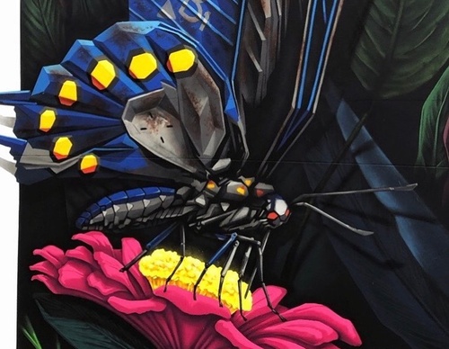 Gallery Of Street Art By Denys Evol - Brazil