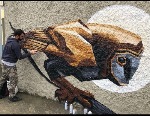 Gallery Of Street Art By Denys Evol - Brazil