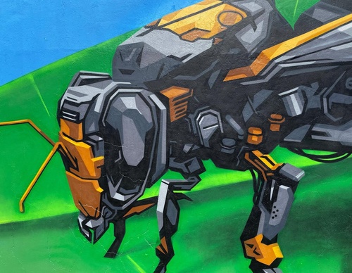 Gallery Of Street Art By Denys Evol - Brazil
