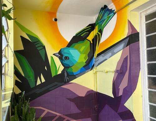 Gallery Of Street Art By Denys Evol - Brazil