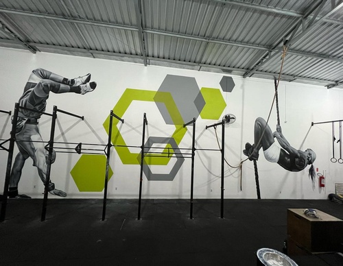 Gallery Of Street Art By Snek - Brazil
