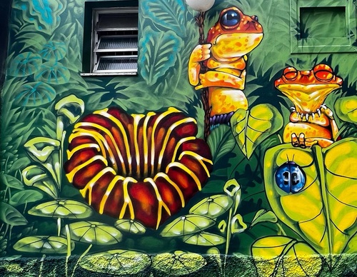 Gallery Of Street Art By Bigod O Sapo - Brazil