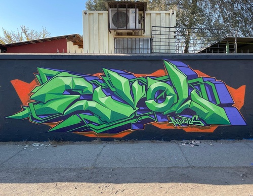 Gallery Of Street Art By Denys Evol - Brazil