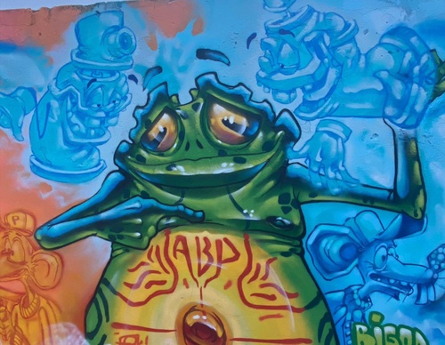 Gallery Of Street Art By Bigod O Sapo - Brazil
