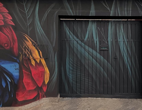 Gallery Of Street Art By Denys Evol - Brazil