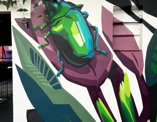 Gallery Of Street Art By Denys Evol - Brazil