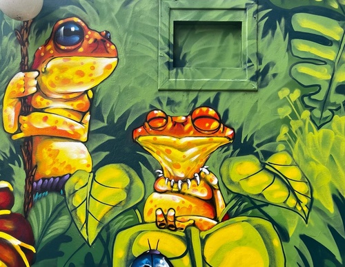 Gallery Of Street Art By Bigod O Sapo - Brazil