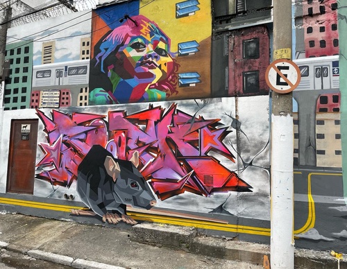 Gallery Of Street Art By Denys Evol - Brazil