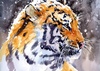 Gallery of Watercolor painting by Ekaterina Pahomova