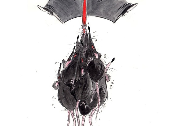Ann Telnaes