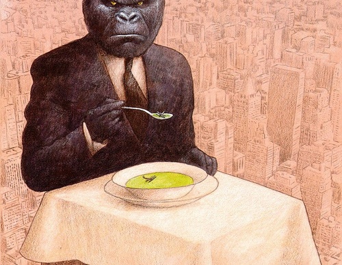 pawel kuczynski