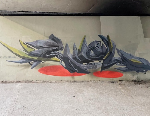 Gallery Of Street Art By Denys Evol - Brazil