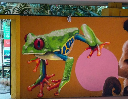 Gallery Of Street Art By Bigod O Sapo - Brazil