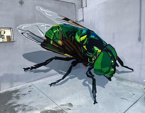 Gallery Of Street Art By Denys Evol - Brazil