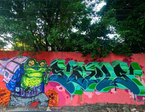 Gallery Of Street Art By Bigod O Sapo - Brazil