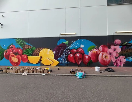 Gallery Of Street Art By Zion - Brazil