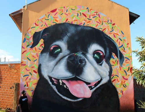 Gallery Of Street Art By Zion - Brazil