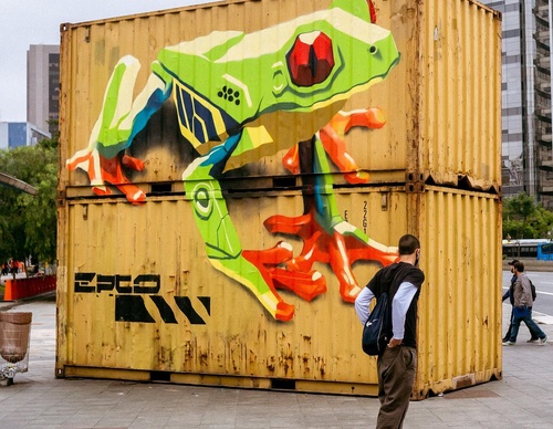 Gallery Of Street Art By Denys Evol - Brazil