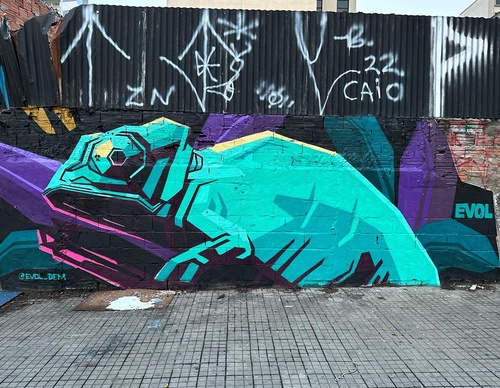 Gallery Of Street Art By Denys Evol - Brazil