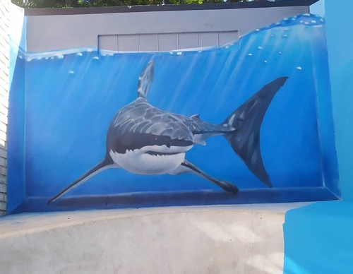 Gallery Of Street Art By Zion - Brazil