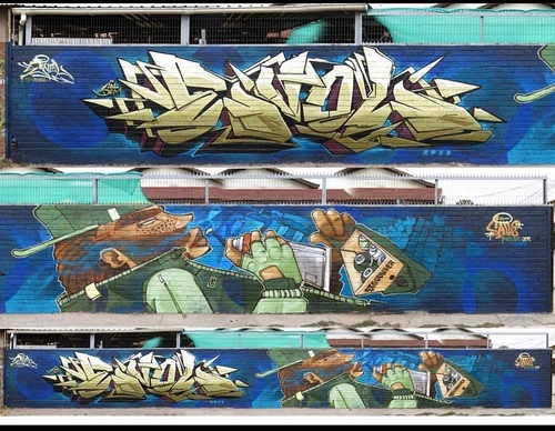Gallery Of Street Art By Denys Evol - Brazil