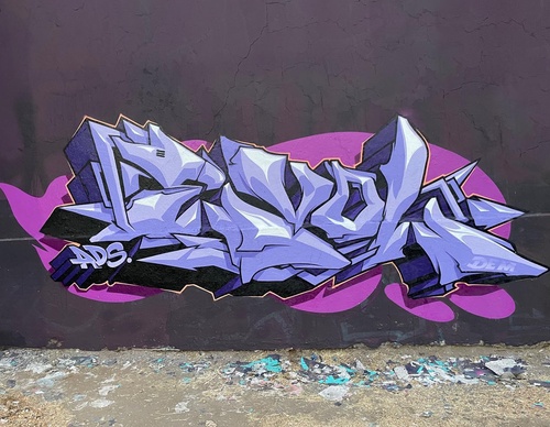 Gallery Of Street Art By Denys Evol - Brazil