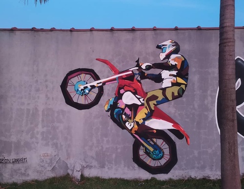 Gallery Of Street Art By Zion - Brazil