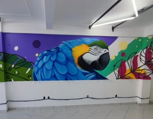 Gallery Of Street Art By Zion - Brazil