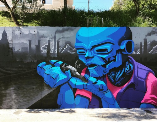 Gallery Of Street Art By Denys Evol - Brazil