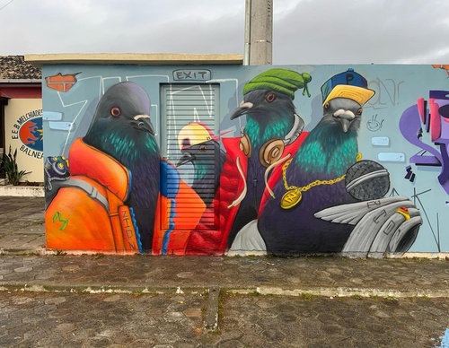 Gallery Of Street Art By Zion - Brazil
