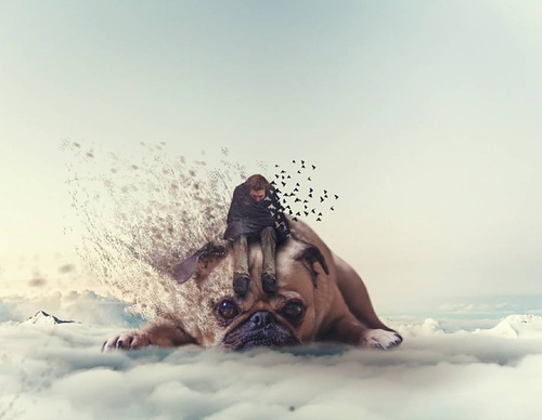 Gallery of photo montage by Aditya Aryanto -Indonesia