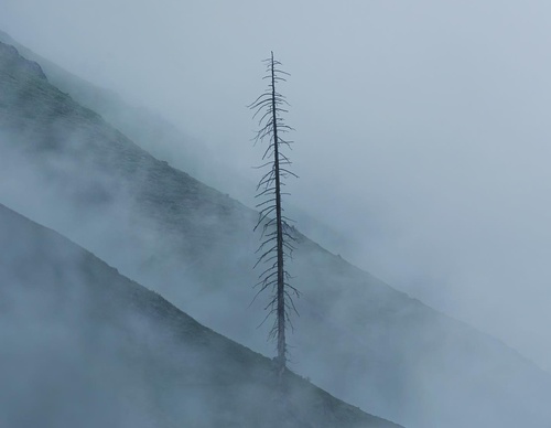 Gallery Of Photography By Khumais Idrees - Pakistan