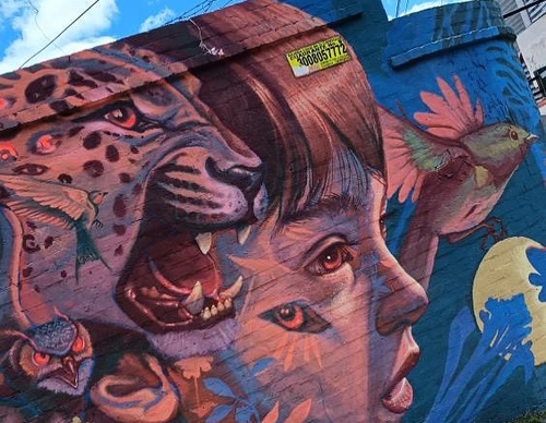 Gallery Of Street Art By Kiki - Brazil