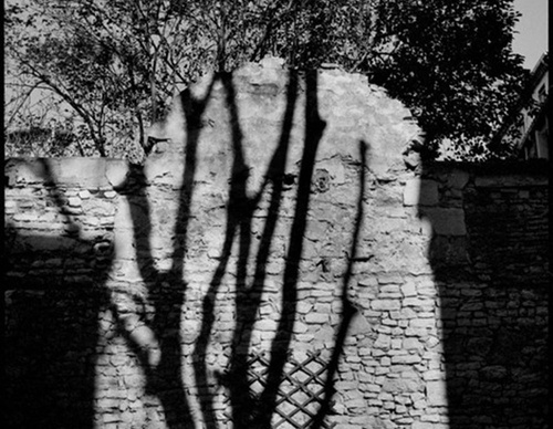martine franck