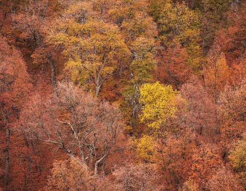 Gallery Of Photography By Rodrigo Viveros - Chile