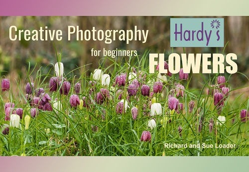 Fotografia Criativa de Flores