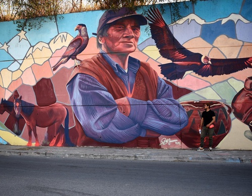 Gallery Of Street Art By Kiki - Brazil