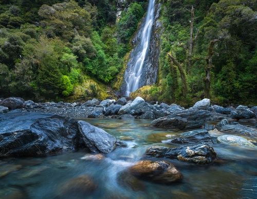 Galeria de fotografias de William Patino - Nova Zelândia