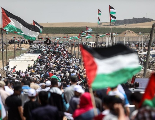 Galería de fotografías de Mohammed Zaanoun - Palestina