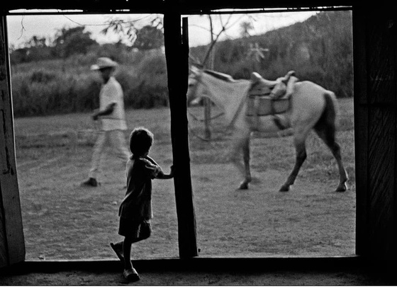 joao roberto ripper