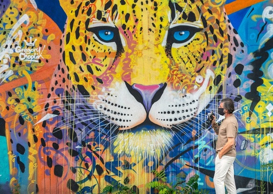 Ejemplos de arte callejero – arte urbano